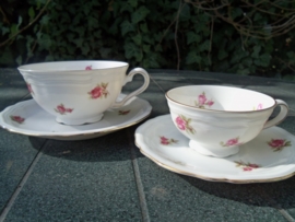 ZELDZAAM!! Mokka kop en schotel Marie Luise met roze/rode roosjes THEE model