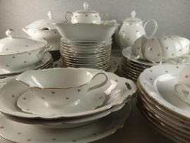 Dinerservies Seltmann Weiden NORA met tere mini zacht roze roosjes