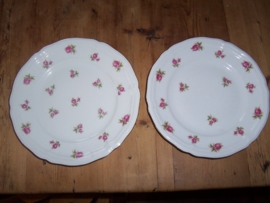 Ontbijt/Gebak/Dessertbordje Seltmann Weiden Marie Luise vol roze/rode roosjes