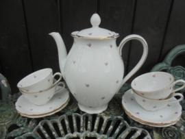 Koffiepot Seltmann Weiden NORA met tere mini roze roosjes