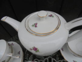 Koffieservies MZ met roze / rode roosjes 8 persoons