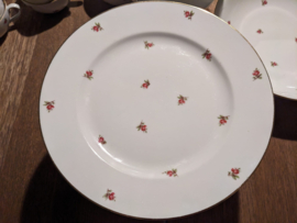 Dinerservies Zeh Scherzer Bavaria met roze roosjes