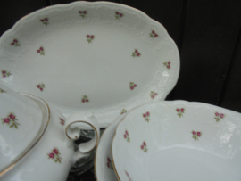 Dinerservies Seltmann Weiden met sierlijke werkjes in het porselein en roze roosjes