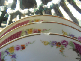 Rosenthal Bavaria Donatello Gebakstel roze rand en bloemboeketjes / roze roosjes