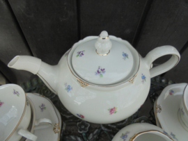 Theepot Bavaria W (Winterling) Windsor met kleine strooi bloemetjes / roze roosjes