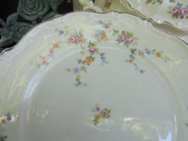 Enorm 12 persoons (!) Dinerservies Hertel Jacob Bavaria met roze roosjes / bloemetjes guirlande