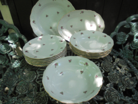 Diner servies H & C met roze/rode roosjes en bewerkt randje 6 persoons