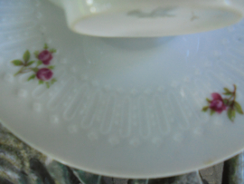 Koffiepot + roomstel Winterling Kirchenlamitz met roze/rode roosjes ZONDER gouden randje