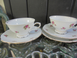 Romantische koffiepot Bareuther Bavaria met roze/rode roosjes