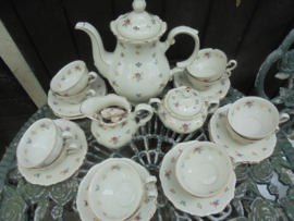 Koffieservies Mitterteich Bavaria met bloemboeket met oa roze roosjes 12 persoons