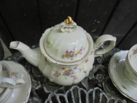12 persoons Theeservies Hertel Jacob Bavaria met roze roosjes / bloemetjes guirlande