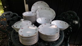 Ontbijt/Dessert bord PMR Jeagers / Jaegerle & Co. Bavaria met roze/rode roosjes