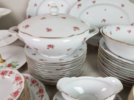 Soepterrine Winterling Marktleuthen Bavaria met roze roosjes