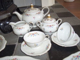 Winterling Marktleuthen Windsor Theeservies met roze en gele roosjesguirlandertjes