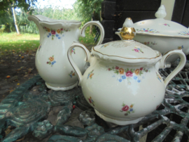 Roomstel Koffieservies Winterling Marktleuthen Bavaria Windsor met roze en gele roosjes guirlandertjes