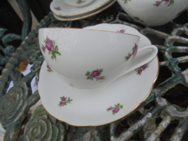 Koffieservies MZ met roze / rode roosjes 8 persoons