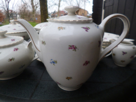 Koffiepot Winterling Marktleuthen Rosemary vol strooibloemetjes oa. roze roosjes