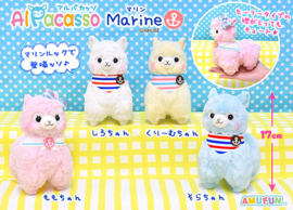 amuse alpacasso