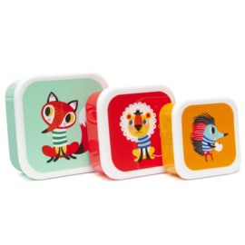 Petit Monkey Lunch box set Animals