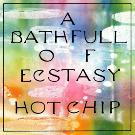 Hot Chip - A Bath Full of Ecstasy |  LP