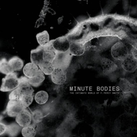 Tindersticks - Minute bodies: the intimate world | CD