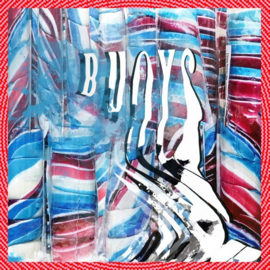 Panda bear - Buoys |  CD