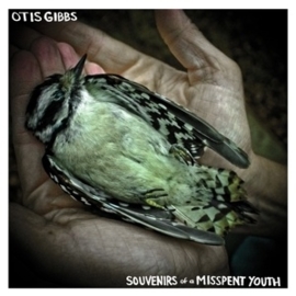 Otis Gibbs - Souvenirs of a misspent youth | CD