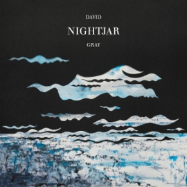 David Gray - Nightjar | LP
