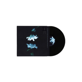 Wasia Project - Nocturne | 2LP