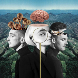 Clean Bandit - What is love? |  CD