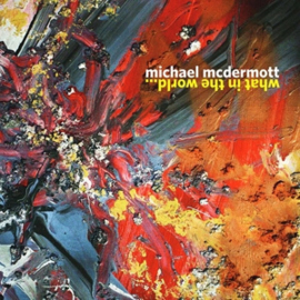 Michael McDermott - What In the World | CD