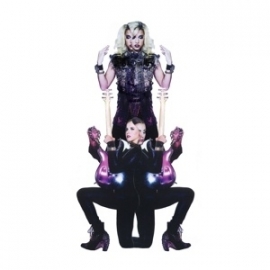 Prince & 3rdeyegirl - Plectrumelectrum  | CD