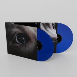 Roger Waters - Dark Side of the Moon Redux | 2LP -coloured vinyl-