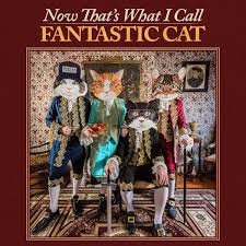 Fantastic Cat - Now That's What I Call Fantastic Cat | LP