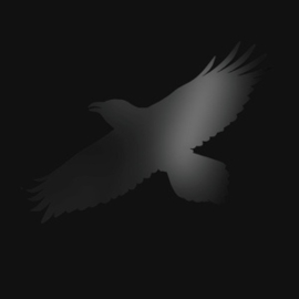 Sigur Ros - Odin's Raven Magic | CD