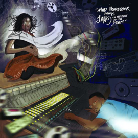 Mad Professor meest Jah - In the midst of the storm | LP