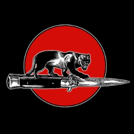 Jim Jones All Stars - Cat Fight | LP