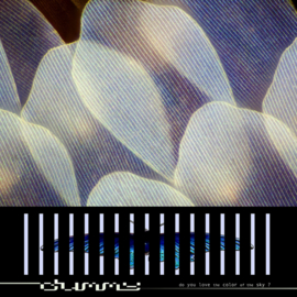Dummy - Do You Love The Color Of The Sky? | LP -Coloured vinyl-