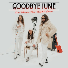 Goodbye June - See Where the Night Goes | LP