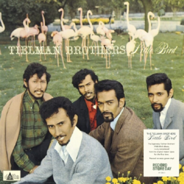 Tielman Brothers - Little Bird | LP -Coloured Vinyl-