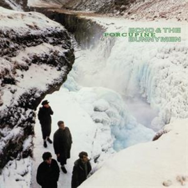 Echo & The Bunnymen - Porcupine | LP -Reissue-