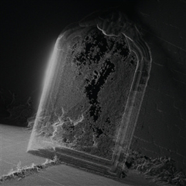Visible Cloaks - Paradessence | CD