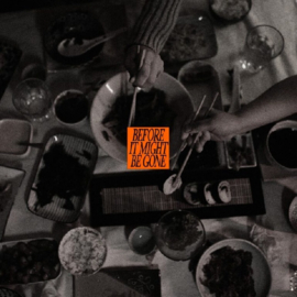 Vices - Before It Might Be Gone (Deluxe) | 10" -Coloured Vinyl-