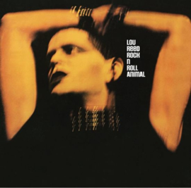 Lou Reed - Coney island baby | LP