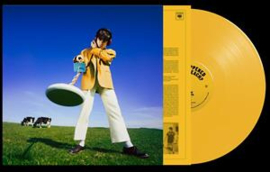 Declan McKenna - What Happened To the Beach? | LP -Coloured vinyl-