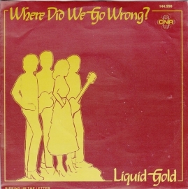 Liquid gold - Where did we go wrong | 2e hands 7" vinyl single-