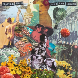 Mamas Gun - Cure the Jones  | CD