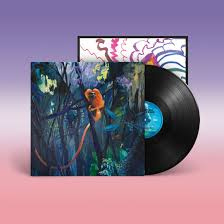 Bonnie Prince Billy - We Are Together Again | LP