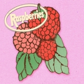 Raspberries - Classic album set | 4CD
