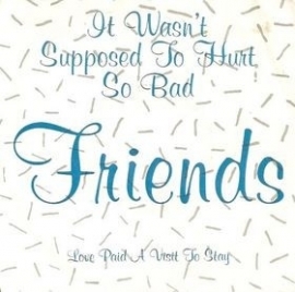 Friends - It wasn`t supposed to hurt so bad - 2e hands 7" vinyl single-